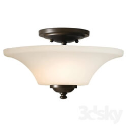 Wall light - Light Semi Flush Mount 