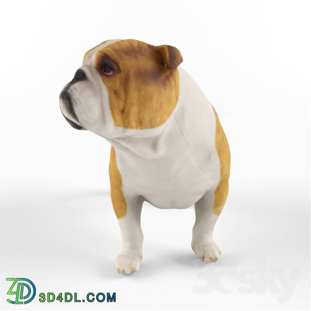 Sculpture - Hilderbrand Bulldog Figurine