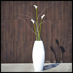 Plant - Flowers and vase for decoration 