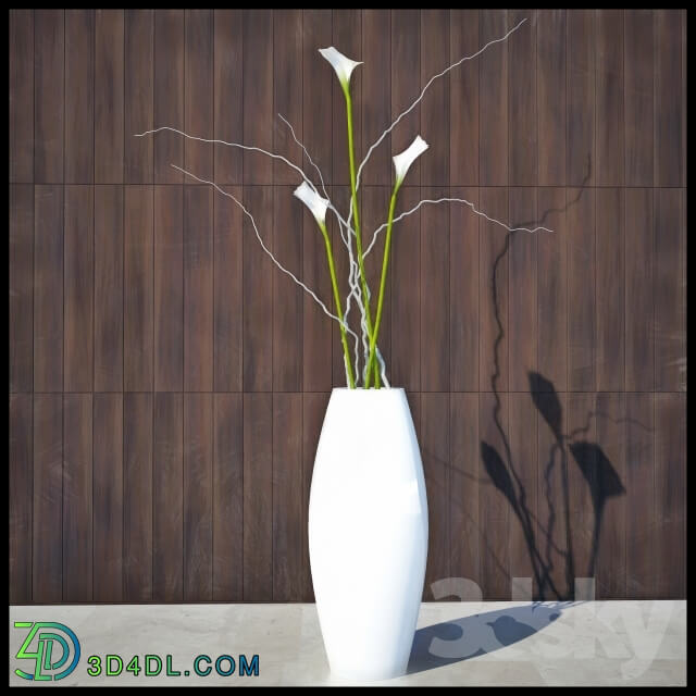 Plant - Flowers and vase for decoration