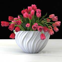 Plant - Tulips in a vase 