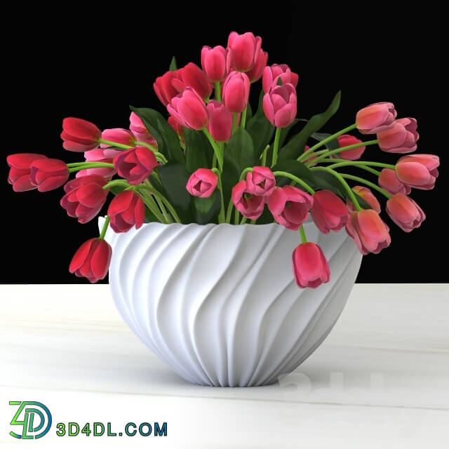 Plant - Tulips in a vase