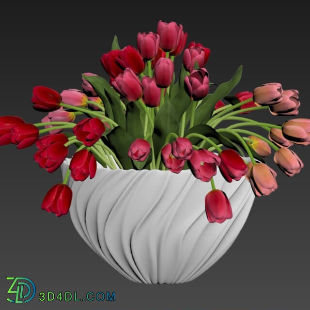 Plant - Tulips in a vase