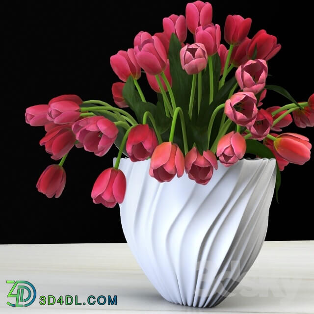 Plant - Tulips in a vase