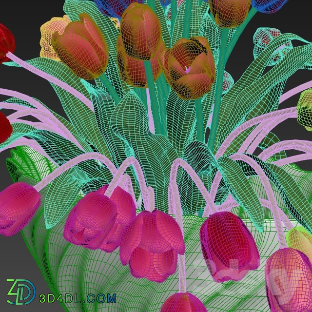 Plant - Tulips in a vase