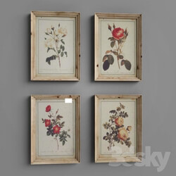 Frame - Frame with flowers 