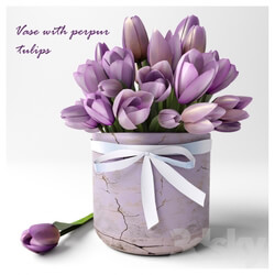 Plant - Vase with perpur tulips 