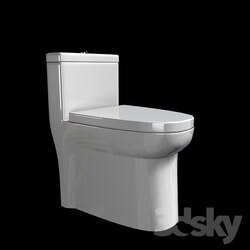 Toilet and Bidet - Flush toilet 