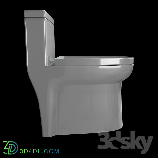 Toilet and Bidet - Flush toilet