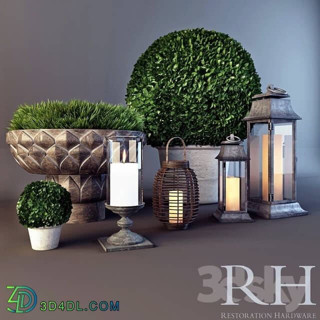 Plant - Restoration Hardware