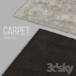 Carpets - The carpet with a short nap 