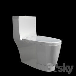 Toilet and Bidet - Flush toilet 