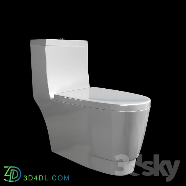 Toilet and Bidet - Flush toilet