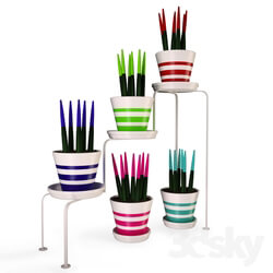 Other decorative objects - Colorful cactus 