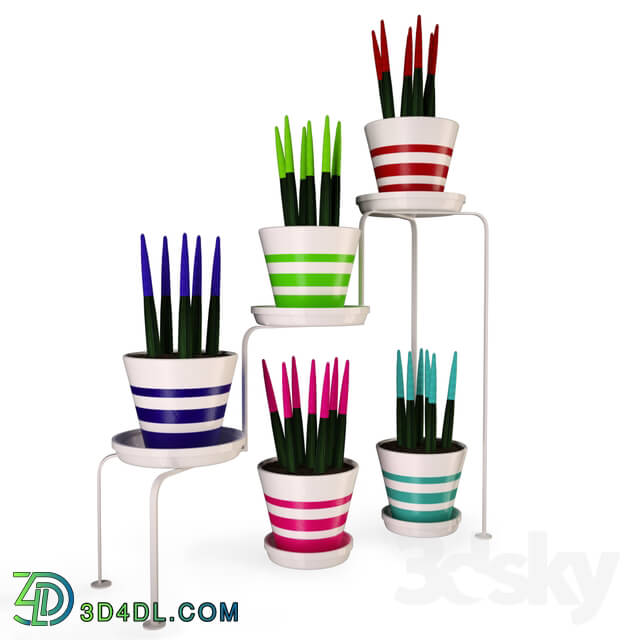 Other decorative objects - Colorful cactus