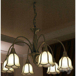 Ceiling light - Chandelier _trekkers_ 