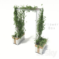 Plant - flower box 