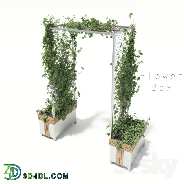 Plant - flower box