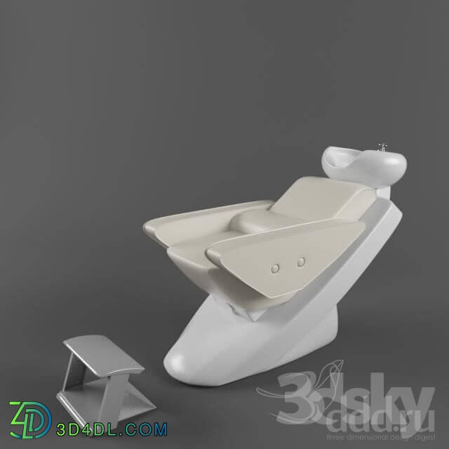 Beauty salon - shampoo-chair