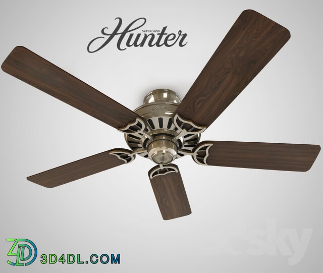 Household appliance - Hunter Fan 53040 Summer Breeze 52 _quot_5