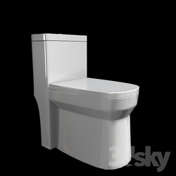 Toilet and Bidet - Flush toilet 