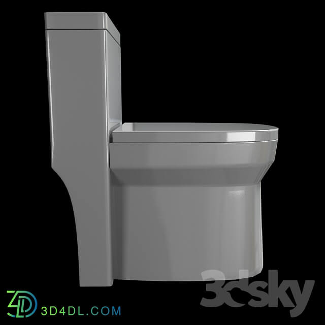 Toilet and Bidet - Flush toilet