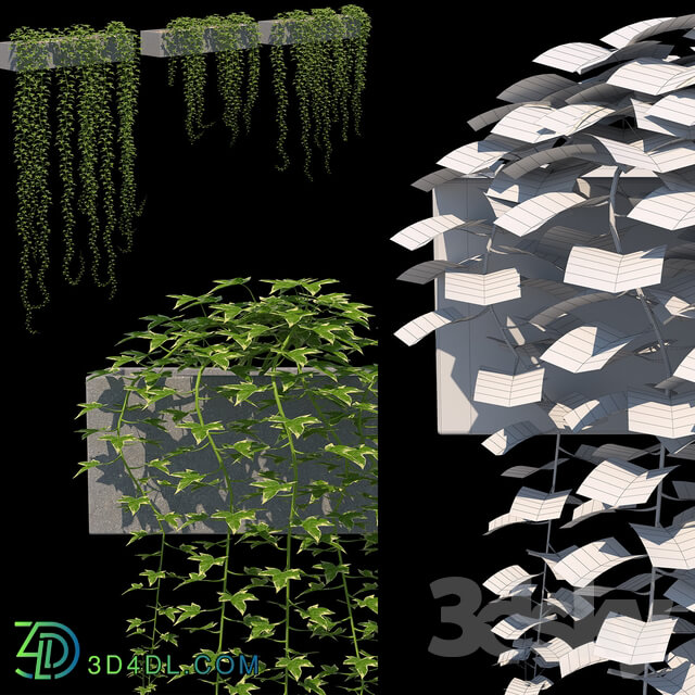 Outdoor - Ivy for shelves_ walls. 3 models