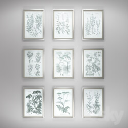 Frame - Pictures of Herb Garden 