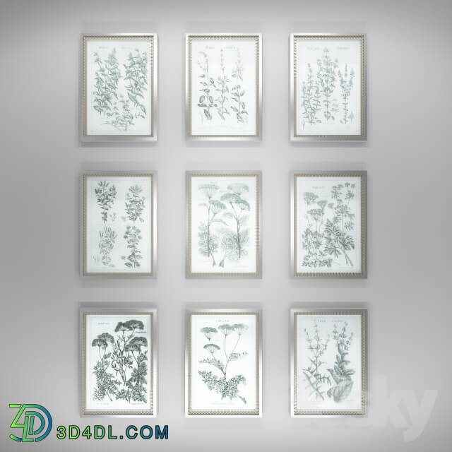 Frame - Pictures of Herb Garden