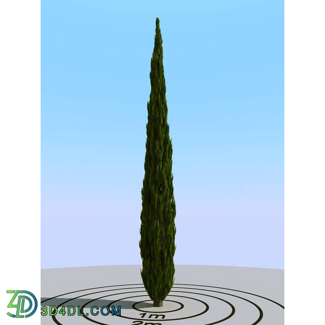3dMentor HQPlants-02 (106) cypress 2