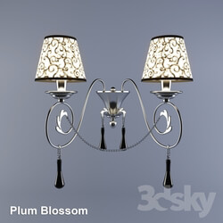 Wall light - sconces Plum Blossom NT9595-02W 