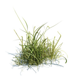 ArchModels Vol124 (037) simple grass v1 