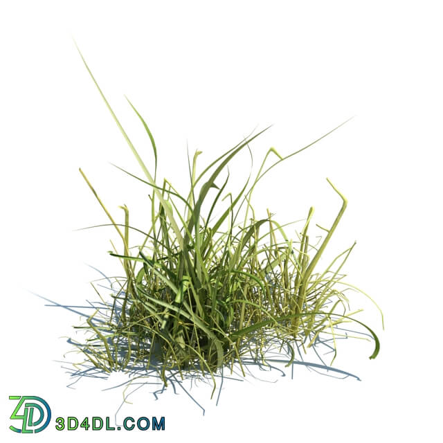 ArchModels Vol124 (037) simple grass v1