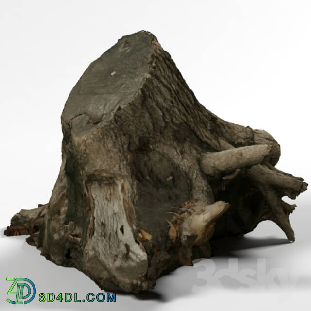 Other architectural elements - Stump