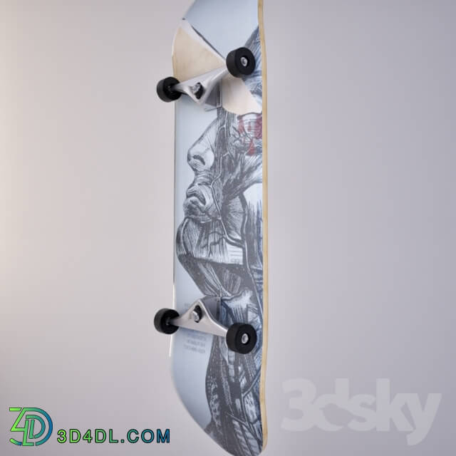 Sports - Skateboard_ wall decor