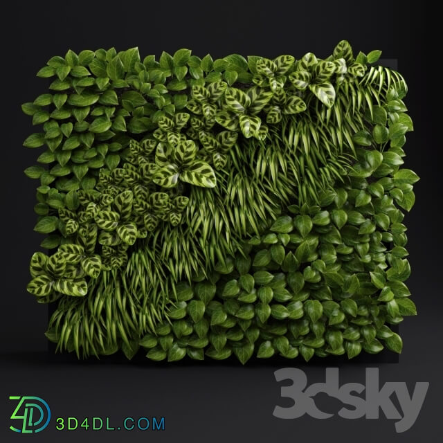 Plant - Green wall 2