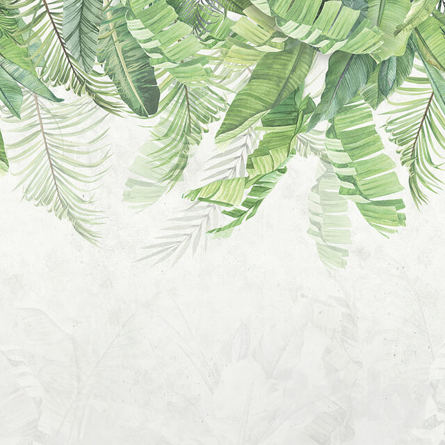 Wall covering - Creativille _ Wallpapers _ Tropical leaves 4240