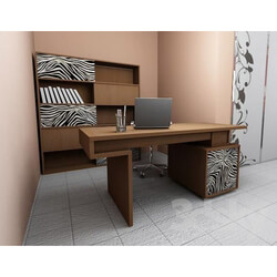 Office furniture - cabinet furniture 