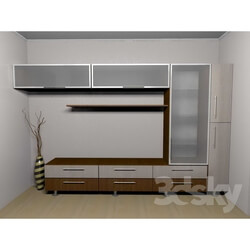 Wardrobe _ Display cabinets - The Wall Of The Econom 