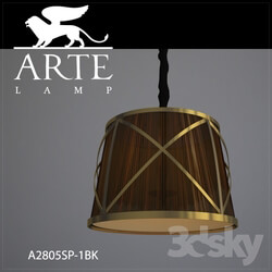 Ceiling light - Hanging lamp Arte Lamp A2805SP-1BK 