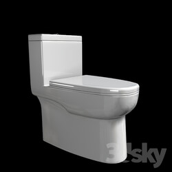 Toilet and Bidet - Flush toilet 