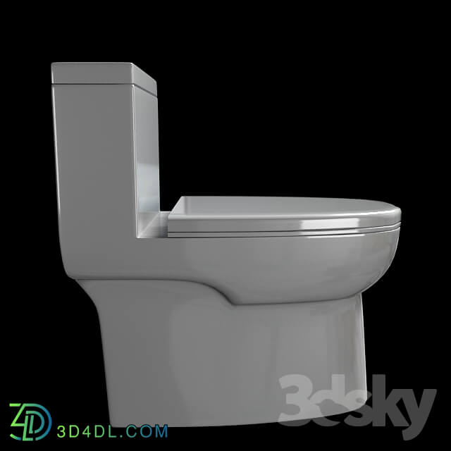 Toilet and Bidet - Flush toilet