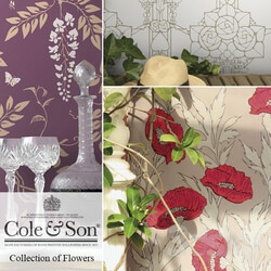 Wall covering - Wallpapers Cole _amp_ Son_ Collection of flowers 