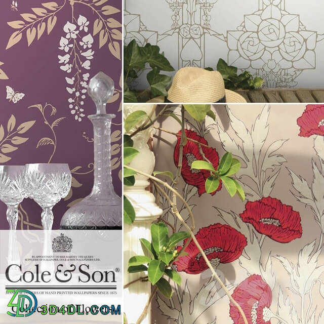 Wall covering - Wallpapers Cole _amp_ Son_ Collection of flowers