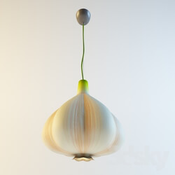 Ceiling light - Garlic Lamp 