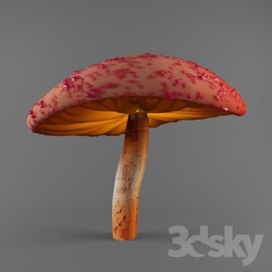 Miscellaneous - Mushroom 