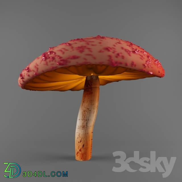 Miscellaneous - Mushroom