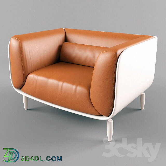 Arm chair - Leather armchair