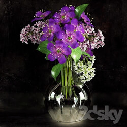 Plant - Lilacs in a Vase 