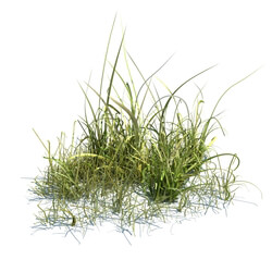 ArchModels Vol124 (039) simple grass v3 